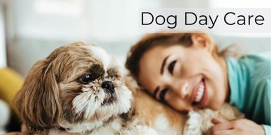 Dog carers for hotsell holidays near me